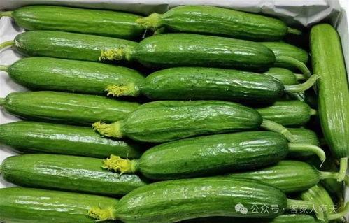 立夏吃哪三瓜,品味三瓜养生之道